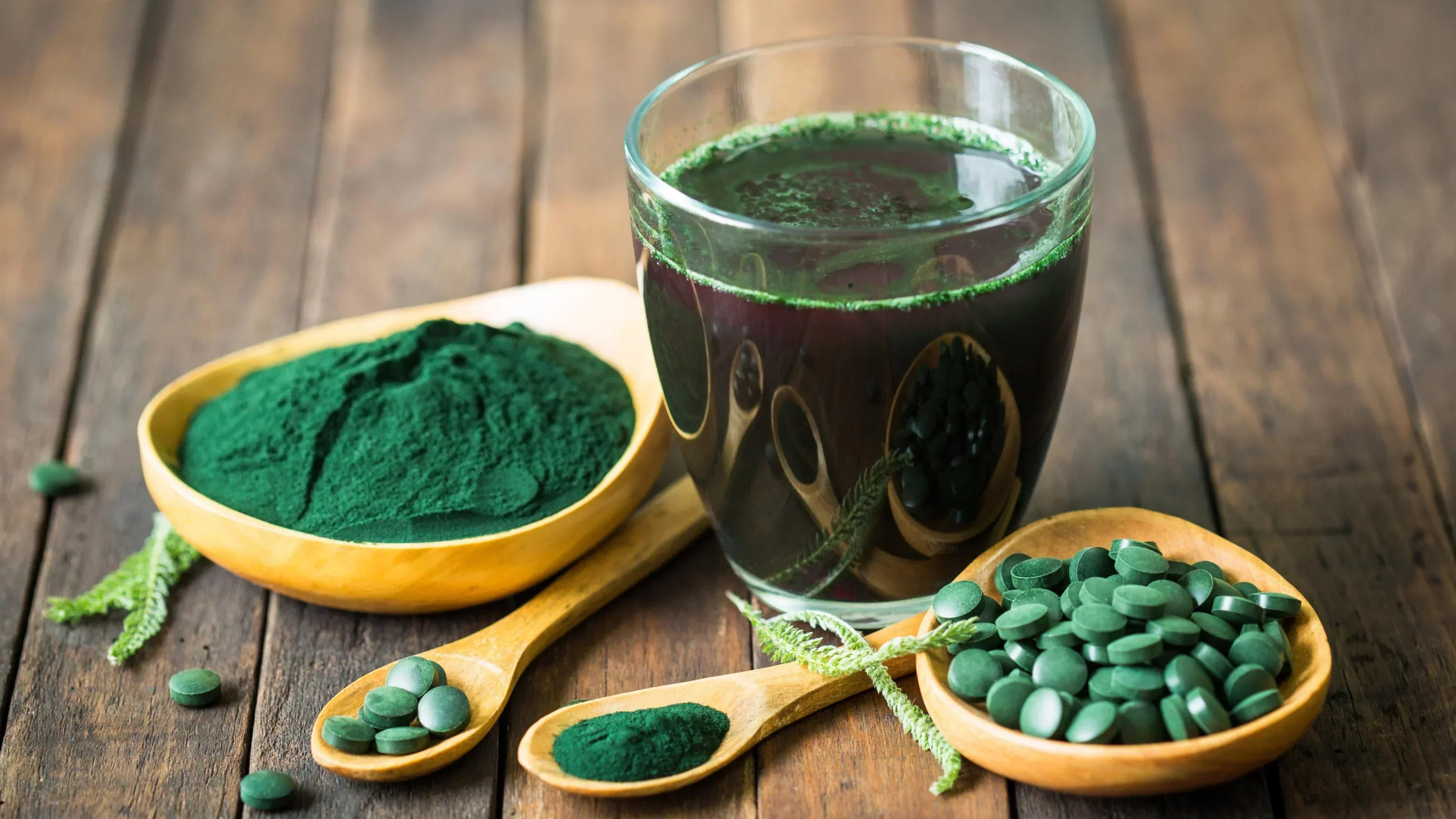 CHLORELLA CZY MŁODY JĘCZMIEŃ? POZNAJ RÓŻNICE I WYBIERZ ODPOWIEDNI SUPLEMENT