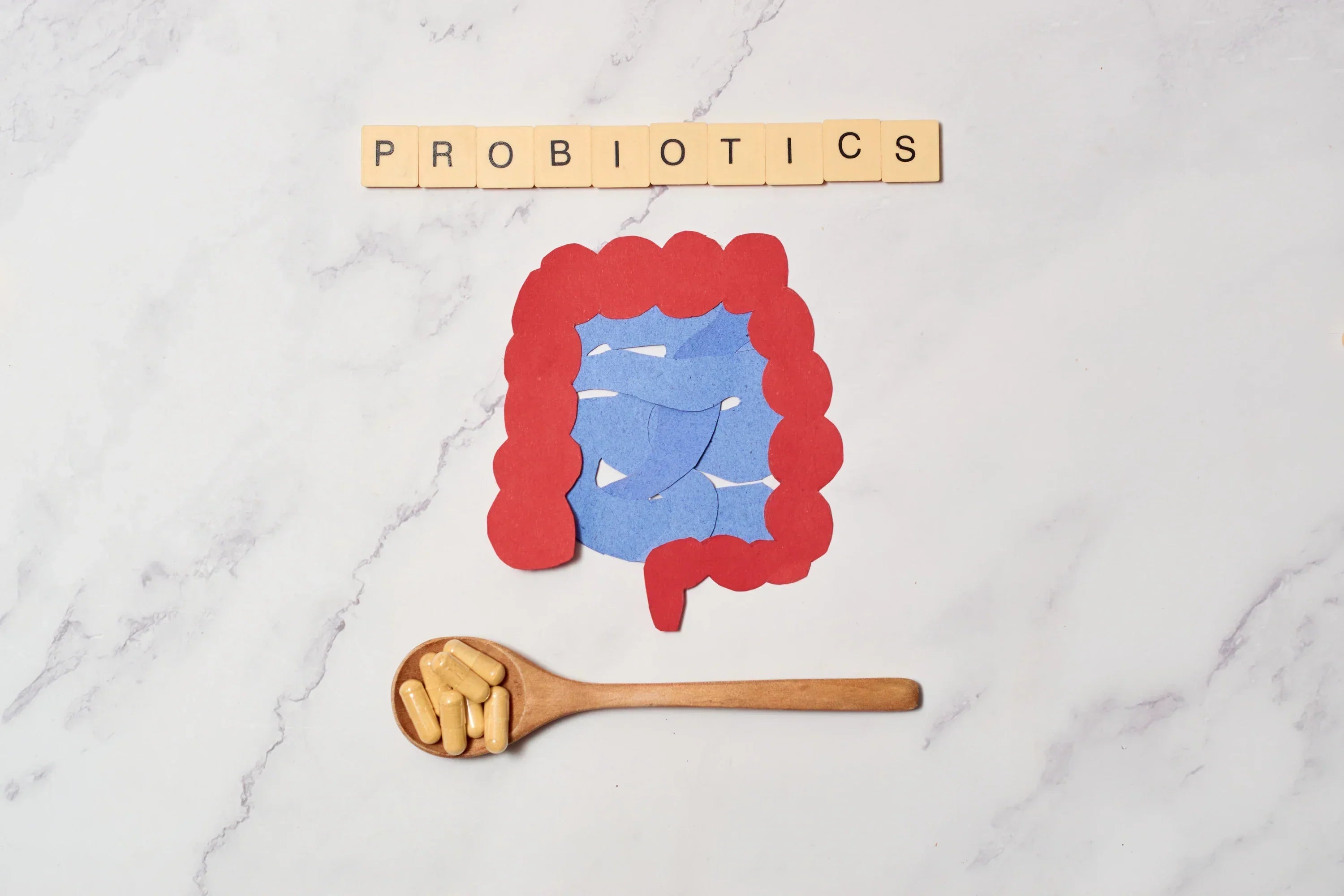 JAK WYBRAĆ DOBRY PROBIOTYK? NA CO ZWRACAĆ UWAGĘ PRZY ZAKUPIE