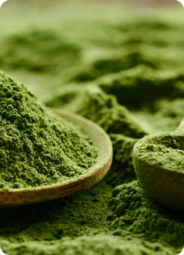 Green Ways Bio Jęczmień 300 g sproszkowany sok z jęczmienia