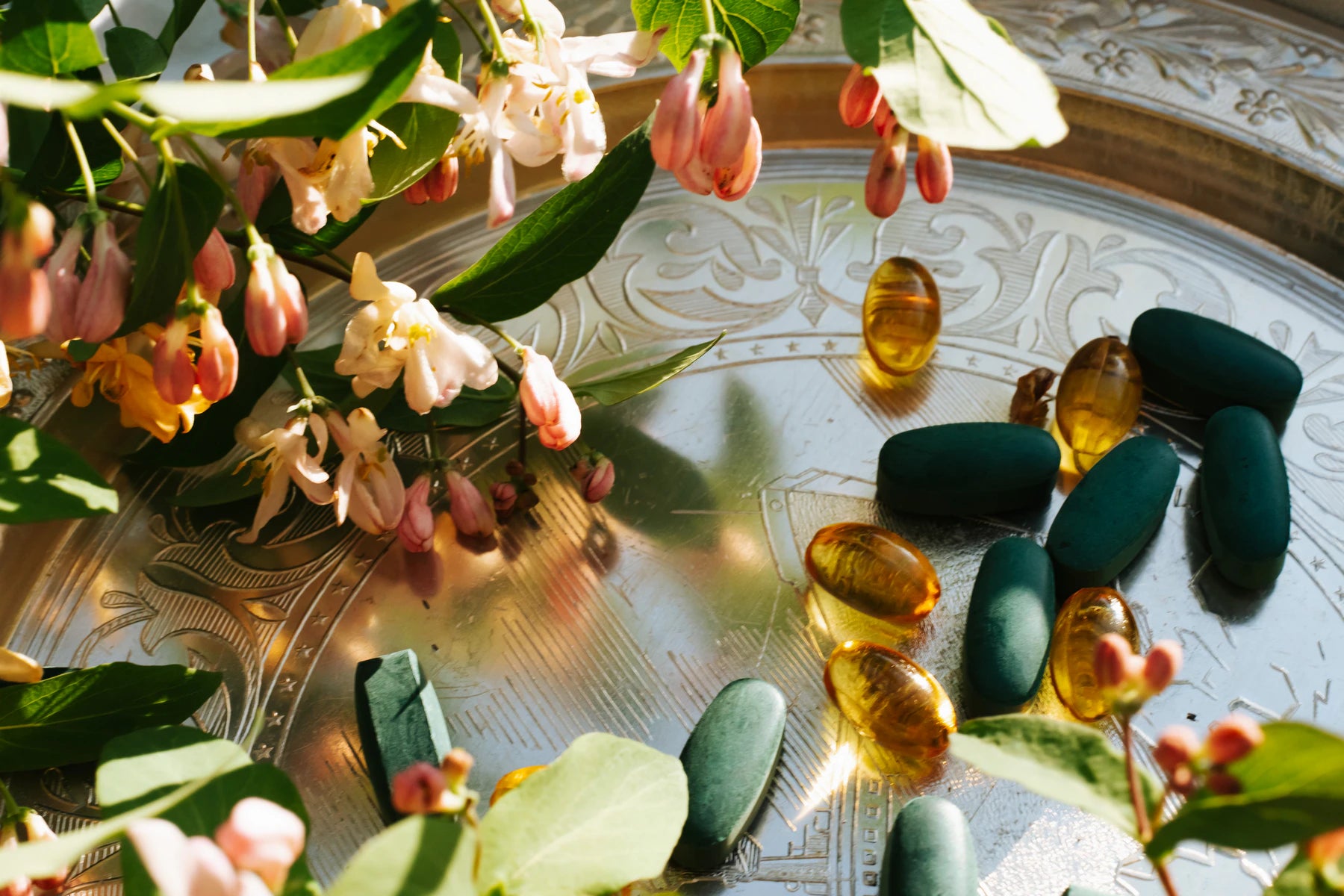 still-life-pink-jasmine-and-vitamins-pills-2026-03-16-06-07-16-utc.webp